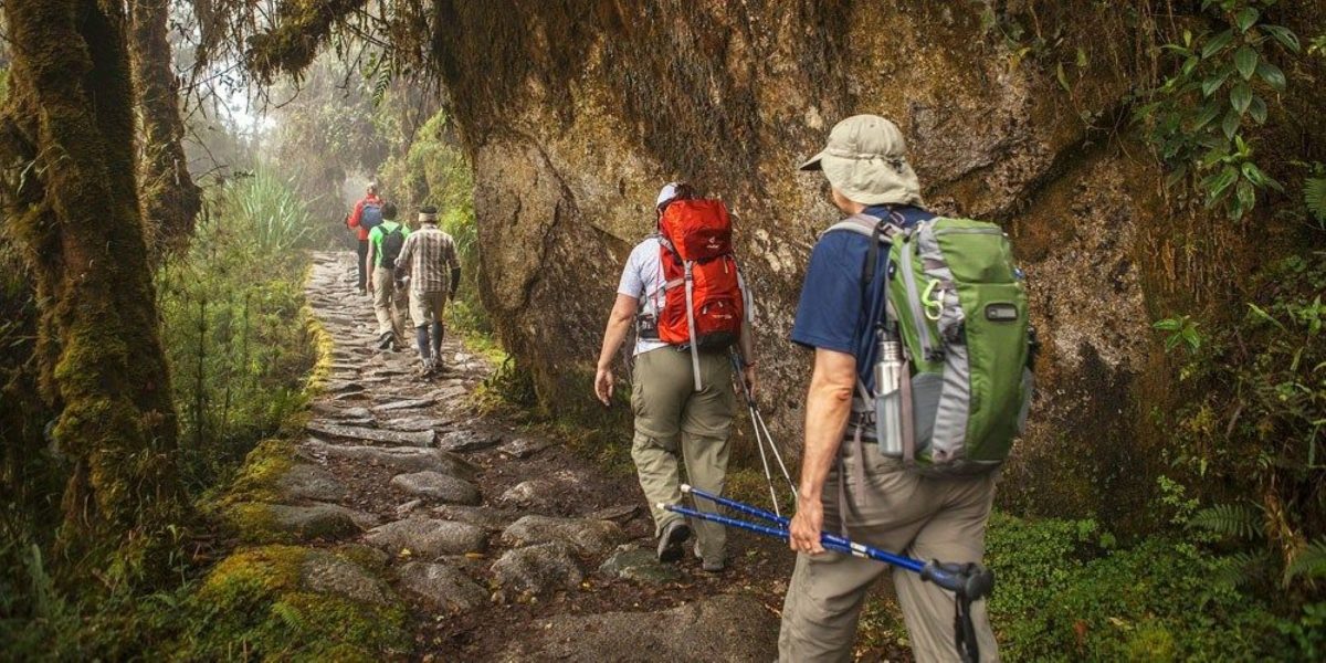 Short Inca Trail full day to Machu Picchu