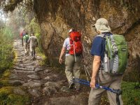 Short Inca Trail full day to Machu Picchu